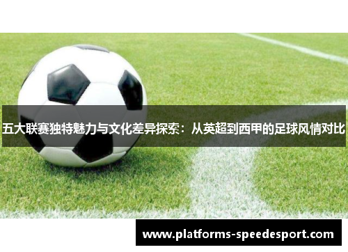 五大联赛独特魅力与文化差异探索：从英超到西甲的足球风情对比