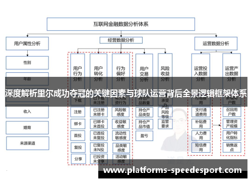 深度解析里尔成功夺冠的关键因素与球队运营背后全景逻辑框架体系